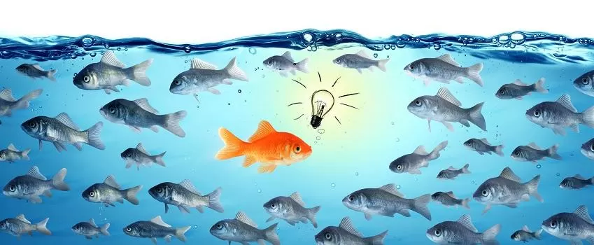 9 examples of how your proposal should change even though the offering remains the same