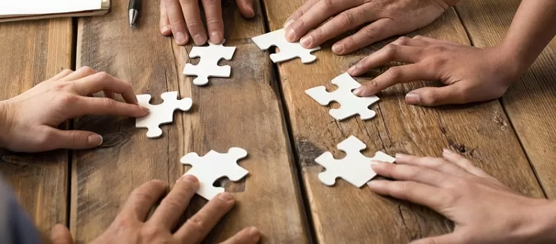 Articulating bid strategies and proposal themes