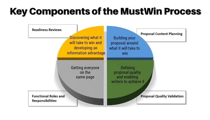Introduction to the MustWin Process